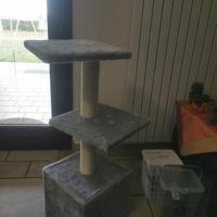 tiragraffi per gatti