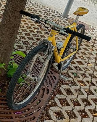 MTB 26