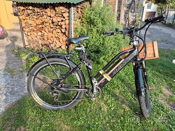 Bici Elettrica 
