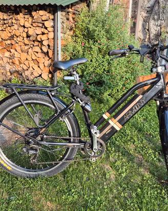 Bici Elettrica 