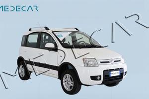 FIAT Panda 1.3 MJT 16V DPF 4x4 Climbing