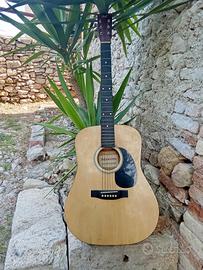 chitarra acustica Marvin