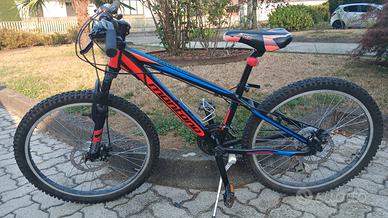 Bicicletta Montana
