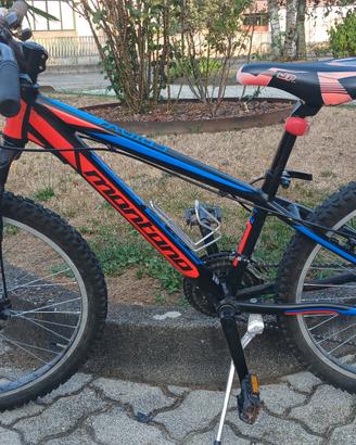 Bicicletta Montana