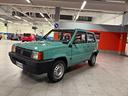 fiat-panda-900-i-e-cat-young