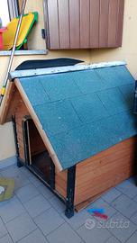 casetta per cani