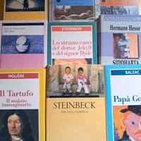Lotto letteratura italiana e straniera