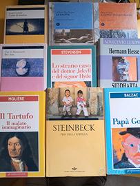 Lotto letteratura italiana e straniera