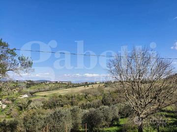 Appartamento Amelia [Cod. rif 3226778VRG]