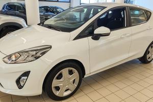 Ford Fiesta 1.1 GPL 5 porte Plus