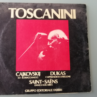 Disco 33 giri Toscani Danza macabra