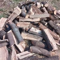 legna da ardere -faggio/quercia/leccio- per stufe 