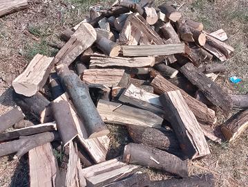 legna da ardere -faggio/quercia/leccio- per stufe 