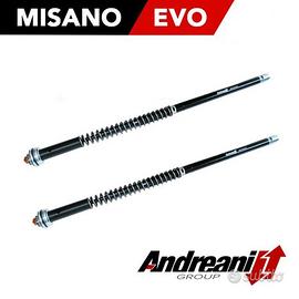 Kit Cartucce Forcella ANDREANI - Cod.105/Y07E (MIS