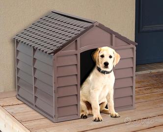 cuccia x cane taglia grande