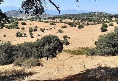 Immobile in asta di 257589 m² a Sarule