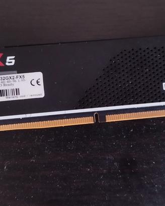 RAM 64GB G.Skill flare X5 6000