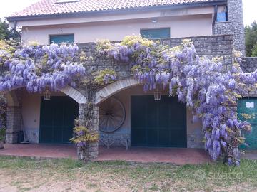 Potenza Via della Botte