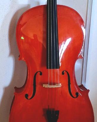 Violoncello