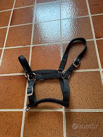 Capezza nera taglia COB