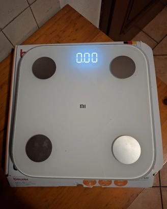 Bilancia Pesapersona