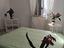 Immagine 13