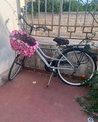 Bicicletta country