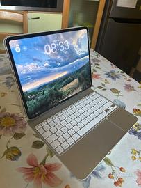 iPad Pro 13” M4 Wi-Fi + Cellular 256 GB + MK+APpro