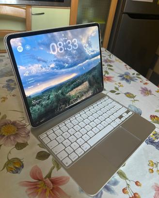 iPad Pro 13” M4 Wi-Fi + Cellular 256 GB + MK+APpro