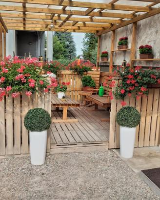 Gazebo in legno