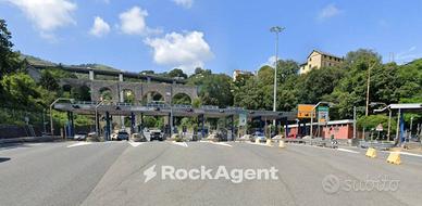 DUE TERRENI AGRICOLI