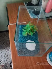 Aquario 