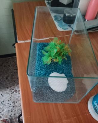 Aquario 