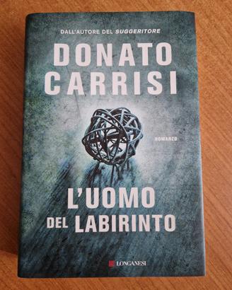 L'uomo del labirinto
