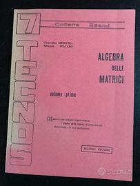 Orecchia-Spataro "Algebra delle matrici" volume 1°
