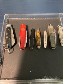 Sette coltellini da collezione