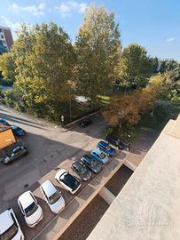 SINGOLA IN  zona FOSSOLO/MAZZ. DAL 10 OTTOBRE 2026