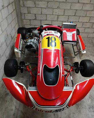 Go kart birel art s16 TM kz10c