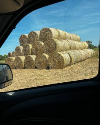 Foraggio loietto avena veccia