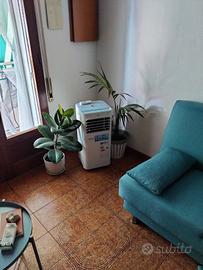 Climatizzatore Portatile ARGO modello Vind EU WF