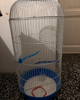 Gabbietta per uccelli