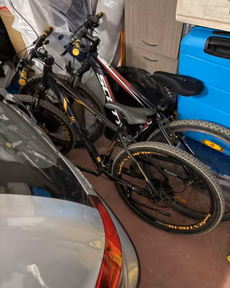 2 Mountain Bike