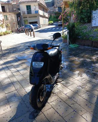 gilera typhoon 50