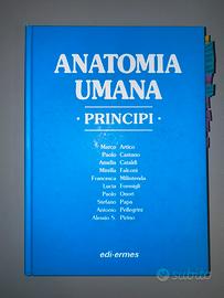 Anatomia Umana Principi