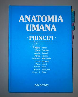 Anatomia Umana Principi