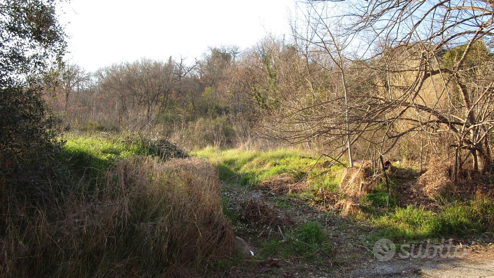 Terreno vicino ascoli - Vista 3