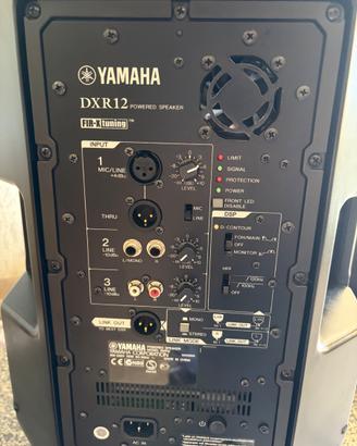 YAMAHA DXR12 coppia 