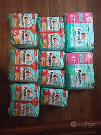 Pannolini Baby Dry pampers e mutandino
