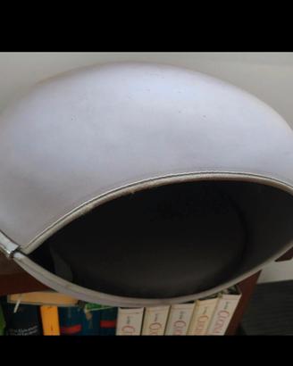 cuccia rigida per gatti 