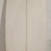 Tavola surf short 6.0